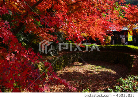 秋天秋天月亮風景在Akizuki城堡附近廢墟弄髒了在秋葉的紅色 秋天秋天月亮風景在Akizuki城堡附近廢墟弄髒了在秋葉的紅色 46033835