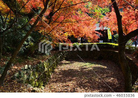 秋天秋天月亮風景在Akizuki城堡附近廢墟弄髒了在秋葉的紅色 秋天秋天月亮風景在Akizuki城堡附近廢墟弄髒了在秋葉的紅色 46033836