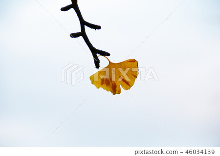 The last one The last one 46034139