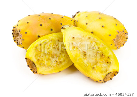 yellow prickly pear or opuntia with half isolated on a white background yellow prickly pear or opuntia with half isolated on a white background 46034157