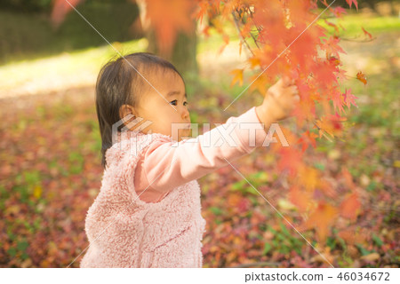 秋葉狩獵 46034672