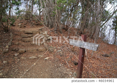 在Mt. Otake山頂附近的一個路標在Okutama,東京 在Mt. Otake山頂附近的一個路標在Okutama,東京 46034961