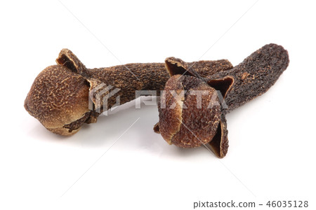 dry spice clove isolated on white background macro dry spice clove isolated on white background macro 46035128
