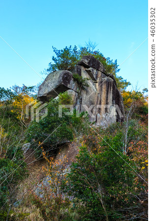 Autumn leaves of the passing prayer rock [Urayamakei, Nakatsu City, Oita Prefecture] 46035302