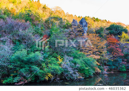 Autumn leaves with a view of the pond tail [Urayamakei, Nakatsu City, Oita Prefecture] 46035362