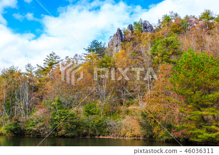 Autumn leaves of the view of Tsurugahara [Oita Nakatsu City Backward Kamakei] 46036311