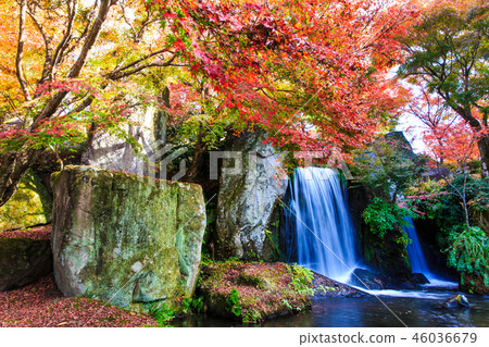 Autumn leaves at Keisekien [Yabakei, Nakatsu City, Oita Prefecture] 46036679