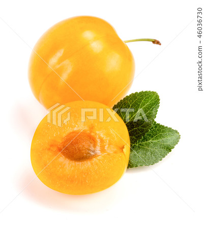 Yellow plum with leaves isolated on white background 46036730