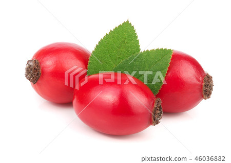 rose hip berry with leaves isolated on white background macro 46036882
