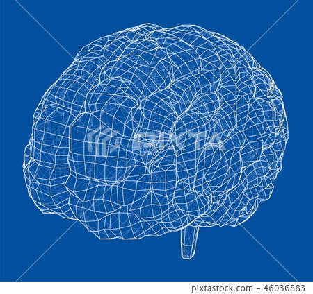 3D outline brain 46036883