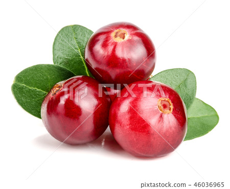 Cranberry with leaf isolated on white background closeup macro 46036965