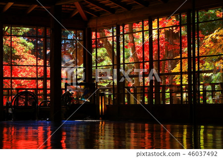 南昌索的紅葉 南昌索的紅葉 46037492