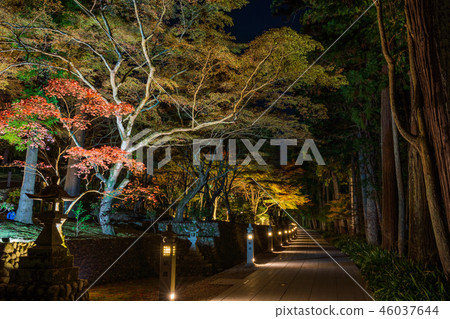 （靜岡縣）博多Sansoneiji寺地面 46037644