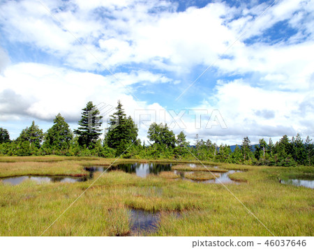 Oze·Hirosawa Tashiro Oze·Hirosawa Tashiro 46037646