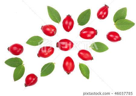 rosehip berries isolated on white background. Flat lay pattern. Top view rosehip berries isolated on white background. Flat lay pattern. Top view 46037785