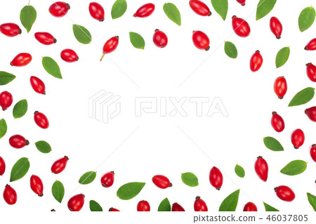 rosehip berries isolated on white background with copy space for your text. Flat lay pattern. Top 46037805
