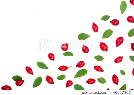 rosehip berries isolated on white background with copy space for your text. Flat lay pattern. Top 46037807