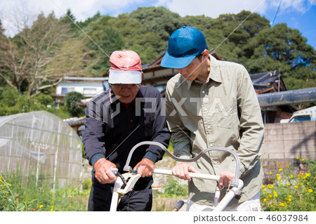 Agriculture men 46037984