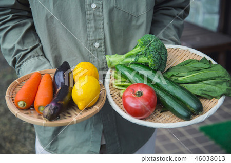 Agriculture men 46038013