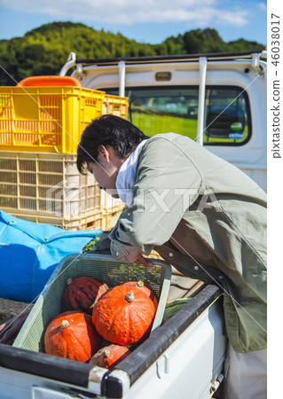 Agriculture men 46038017