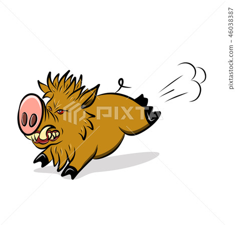 Stock Illustration Wild Ferocious Pig Stock Illustration Wild Ferocious Pig 46038387