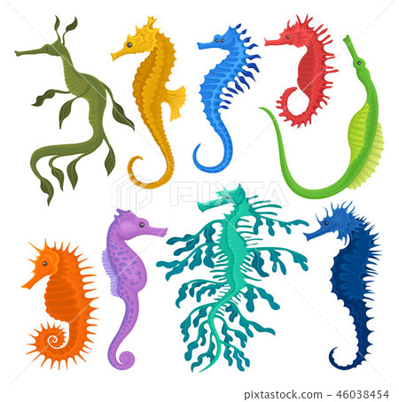 Flat vector set of different species of... - Stock Illustration [46038454]  - PIXTA