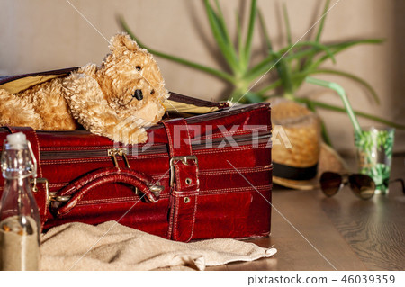 Travel concept of Teddy bear and red vintage suitcase 46039359