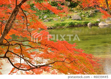 秋葉在Kaichishin風景在豐田市，愛知縣 46039445