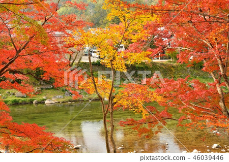 秋葉在Kaichishin風景在豐田市,愛知縣 秋葉在Kaichishin風景在豐田市,愛知縣 46039446