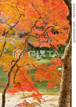 秋葉在Kaichishin風景在豐田市，愛知縣 46039449