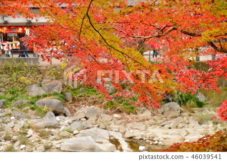 Autumn leaves scenery of Kaarashin in Toyota City, Aichi Prefecture 46039541