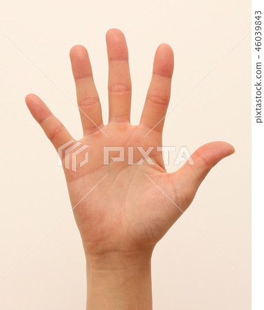 女手掌 46039843