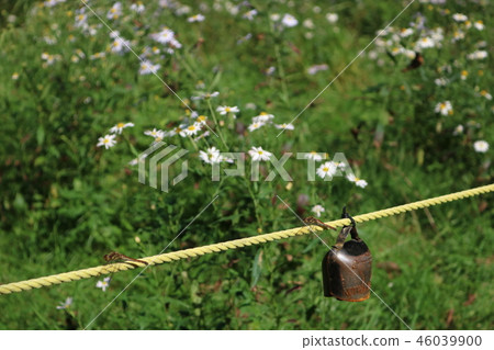 Koiwai farm, cowl and dragonfly of Kamimaru promenade 46039900