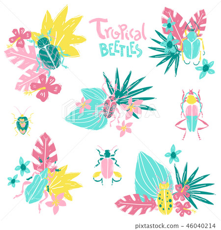 Vector doodle set with big decorative tropic bugs and tropis flo 46040214