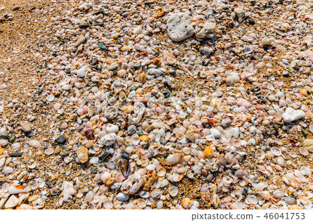 Akao Oki, Oshima-gun, Kagoshima Pref. East coast, sandy beach and shell Akao Oki, Oshima-gun, Kagoshima Pref. East coast, sandy beach and shell 46041753