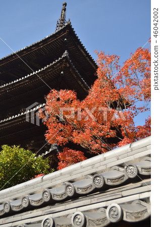 Tower of Yasaka 46042002