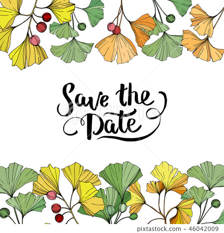 Vector. Ginkgo leaf. Border ornament square. Save the Date handwriting monogram calligraphy. 46042009