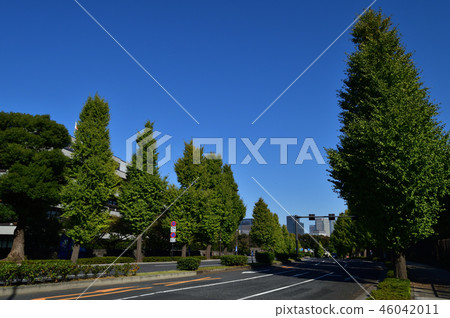 照片拍攝於東京都千代田區內田町國立國會圖書館遺址與國會議事堂所在地之間的道路。 46042011
