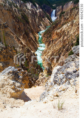 The Lower Falls in Yellowstone National Park 46042530