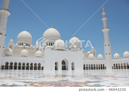 謝赫扎耶德大清真寺 46043230