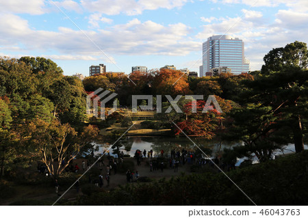 Rikugien花園 46043763