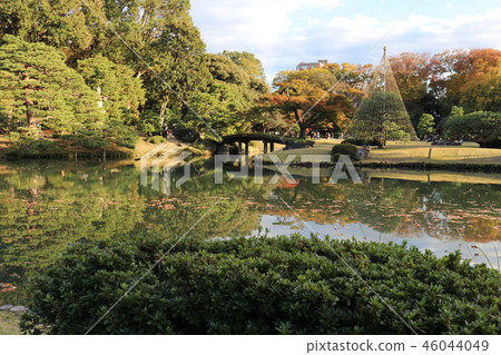 Rikugien Gardens 46044049