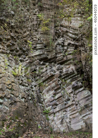Genbu-dong公園的白虎洞(兵庫縣豐岡市) Genbu-dong公園的白虎洞(兵庫縣豐岡市) 46044059