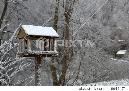 Feeder for birds in the park Feeder for birds in the park 46044471
