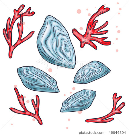 Mussel. Vector illustration with refined details and optimized stroke that allows the image to be 46044804