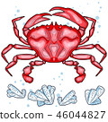 Colorful red crab vector illustration. Sea creature in flat design. Shell crab icon isolated on 46044827