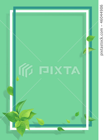 Fresh green leaves white frame green 46044986