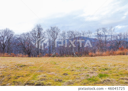 Beautiful landscape view of autumn leaves Beautiful landscape view of autumn leaves 46045725