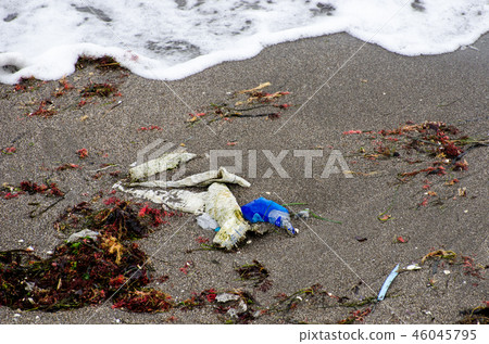 流浪垃圾 流浪垃圾 46045795