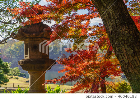 Rikugien秋葉在日本 Rikugien秋葉在日本 46046188